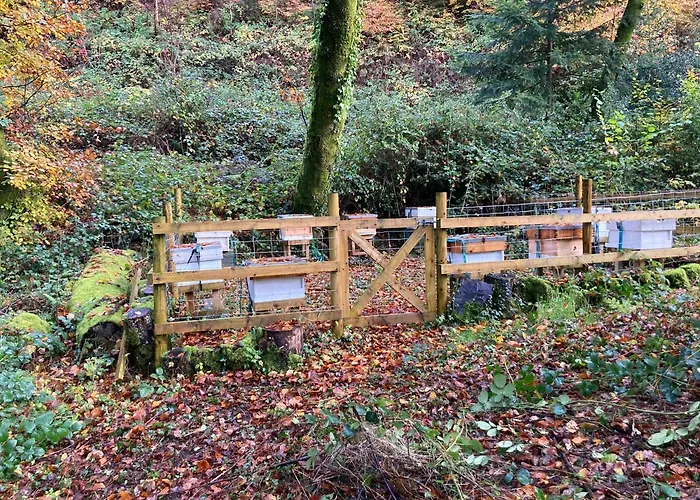 Honey Bee Cabin