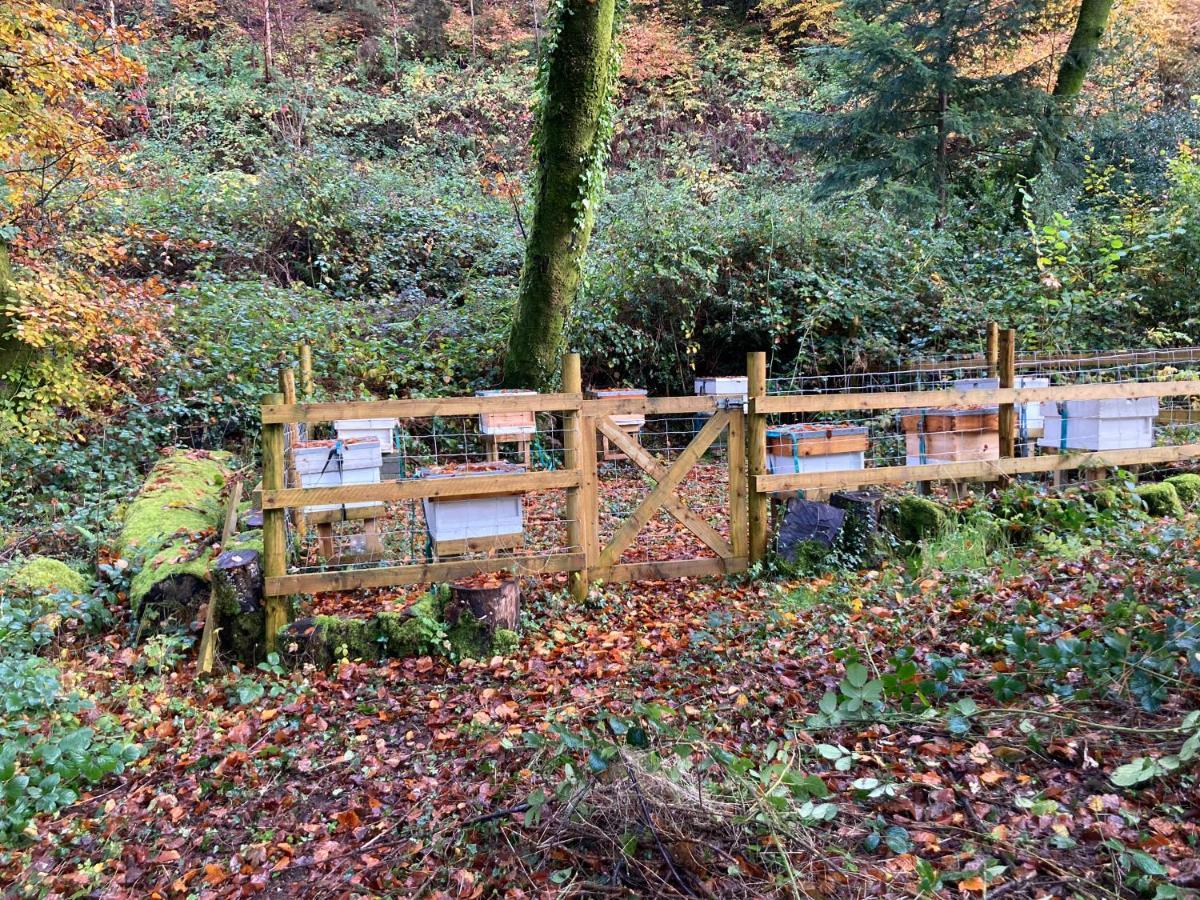 Honey Bee Cabin Lodge